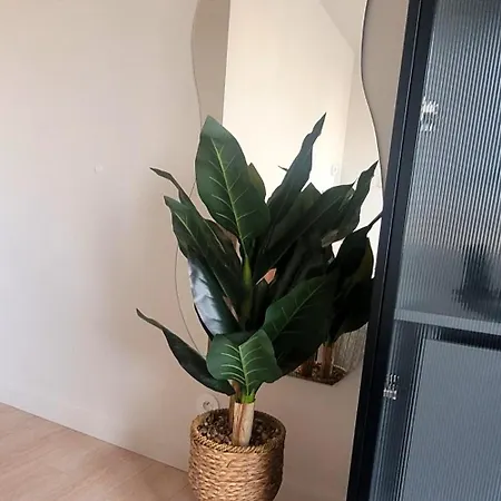 Mlynow ワルシャワ